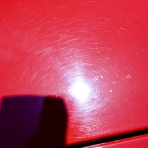 IMG_3588