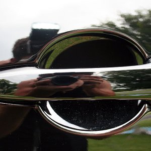 IMG_2729