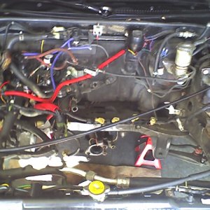 Photo_012406_012