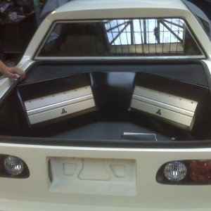 trunk
