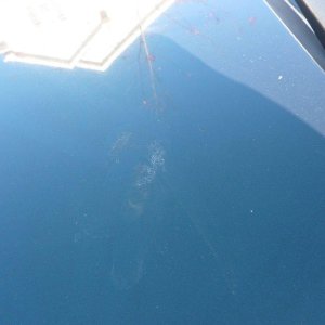 ClearFailHood1