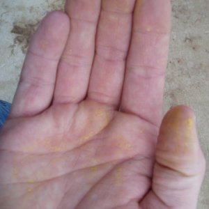 XMT Speed Clay