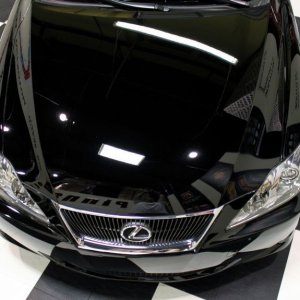 Lexus Hood v