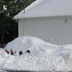 snowstorm 2009 part 2