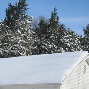 snowstorm 2009 part 2