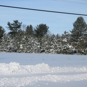 snowstorm 2009 part 2