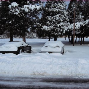 snow storm 2009