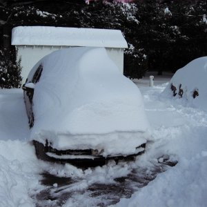 snow storm 2009