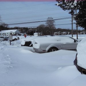 snow storm 2009