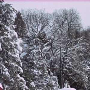 snow storm 2009
