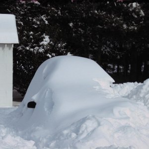 snow storm 2009