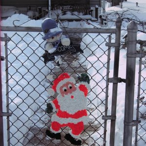 snow storm 2009
