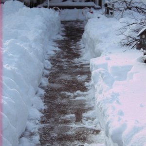 snow storm 2009