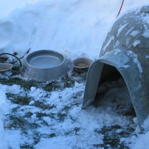 snow storm 2009