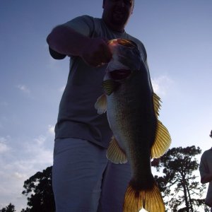 dwaynebass