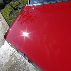IMG_01883