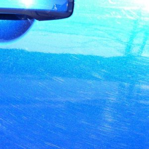 tn_P10004231