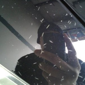 IMG003461