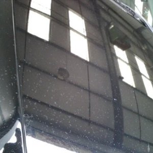 IMG003472