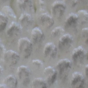PFM_Towels.01.jpg
