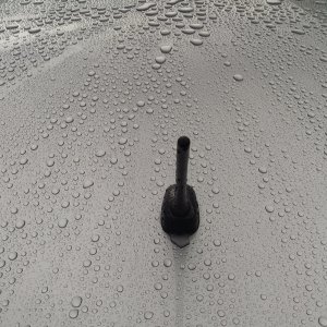 IMAG3549