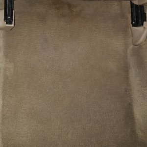 Avalon_Carpet_After
