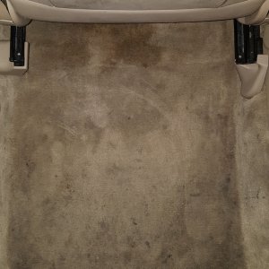 Avalon_Carpet_Before