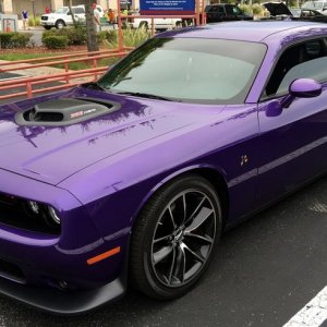 2016 Dodge Challenger Scatpack Shaker Mike Phillips Autogeek