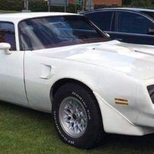 Mike Phillips teaching detailing classes in London at Waxstock