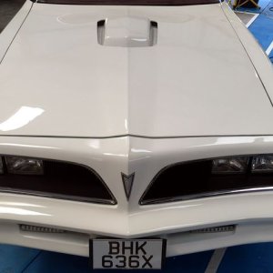 Waxstock Competition Ready Detailing Classes Mike Phillips Autogeek