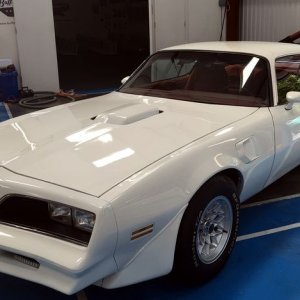Waxstock Competition Ready Detailing Classes Mike Phillips Autogeek