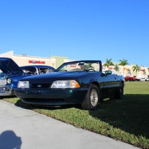 IMG_8198