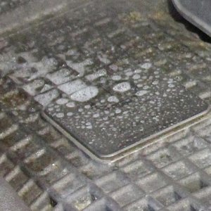 Wolfgang Total Engine Cleaner