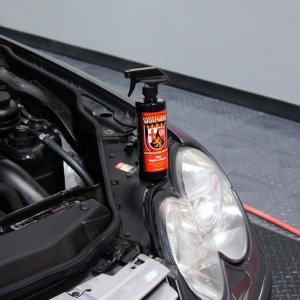 Wolfgang Total Engine Cleaner