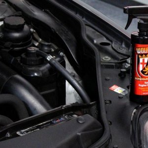 Wolfgang Total Engine Cleaner