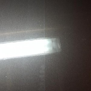 white_specks_01