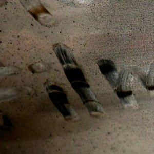 Negative Version How to remove Smokers Film off inside of windshield