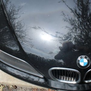 1996 BMW Z3 Extreme Makeover