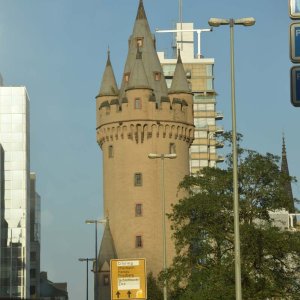 DSC_7590
