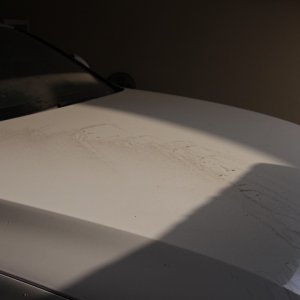 IMG_36191