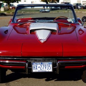 SamsVette_01