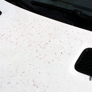 Removing Iron contamination off a Mercedes-Benz SL500