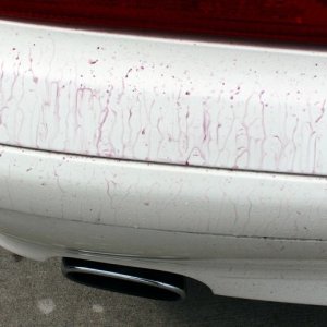 Removing Iron contamination off a Mercedes-Benz SL500