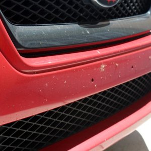 bug_1