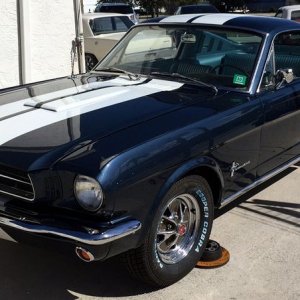 1965 Mustang Fastback detailed at Autogeek Mike Phillips
