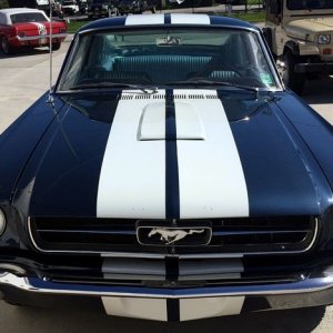 1965 Mustang Fastback detailed at Autogeek Mike Phillips