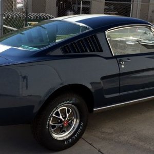 1965 Mustang Fastback detailed at Autogeek Mike Phillips