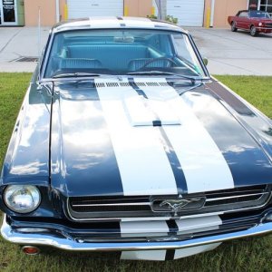 1965 Mustang Fastback detailed at Autogeek Mike Phillips