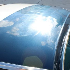 1965 Mustang Fastback detailed at Autogeek Mike Phillips