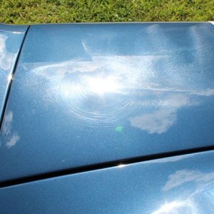 1965 Mustang Fastback detailed at Autogeek Mike Phillips